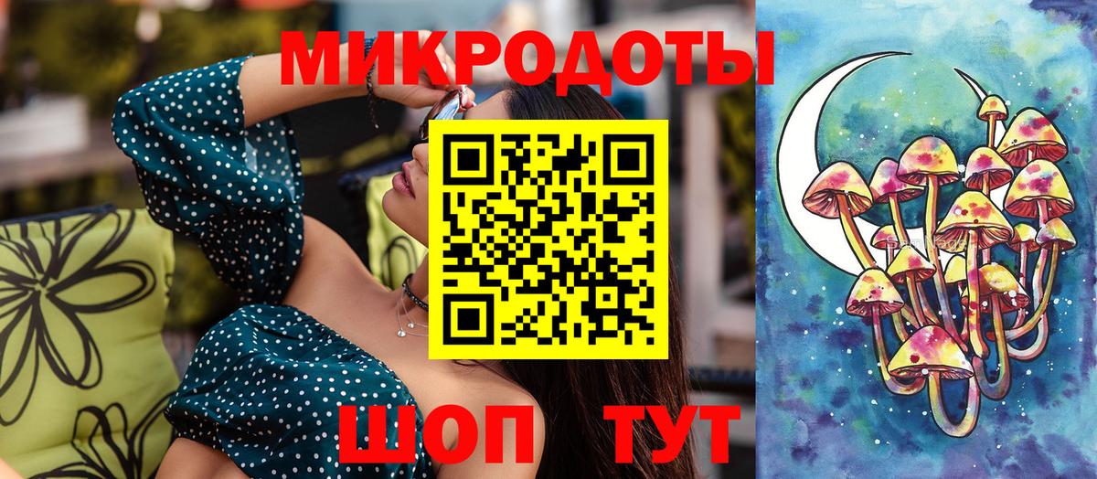 Псилоцибиновые грибы Psilocybe Курганинск