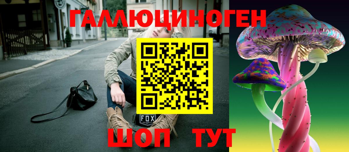 Курганинск  Галлюциногенные грибы GOLDEN TEACHER  Псилоцибиновые грибы MAGIC MUSHROOMS  Вход с VPN 